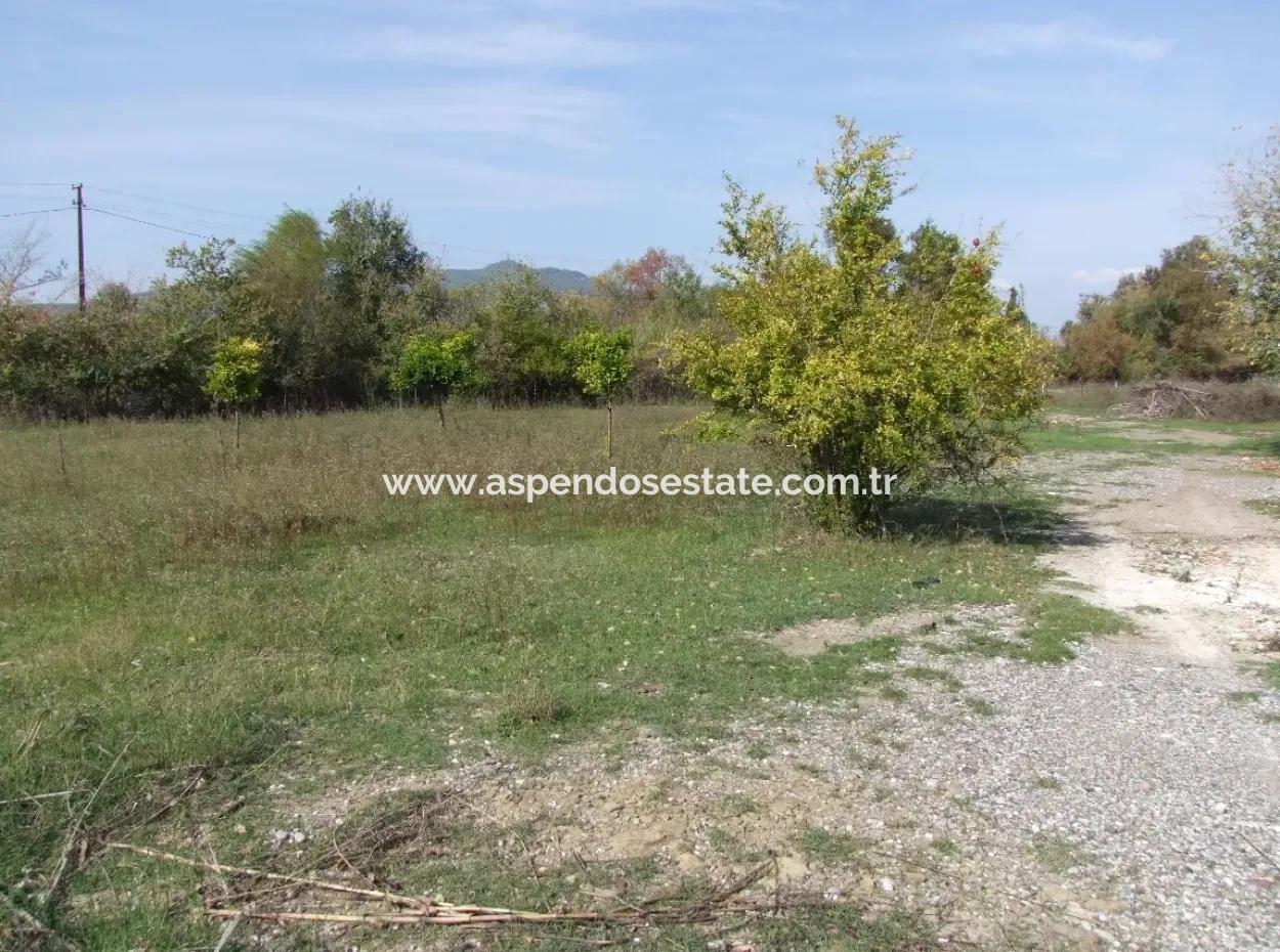 Güzelyurt Da Satılık Arsa Ana Yola Sıfır 5515M2 Satılık Arsa