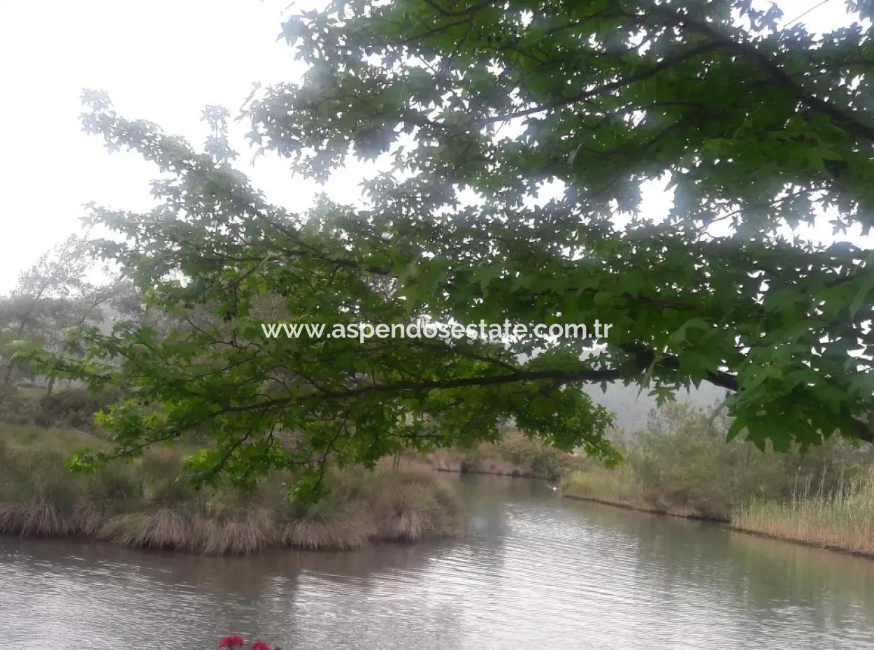 Çamlıda Satılık Arsa Arazi Marmaris Çamlıda Deniz Manzaralı 11720M2 Satılık Arsa