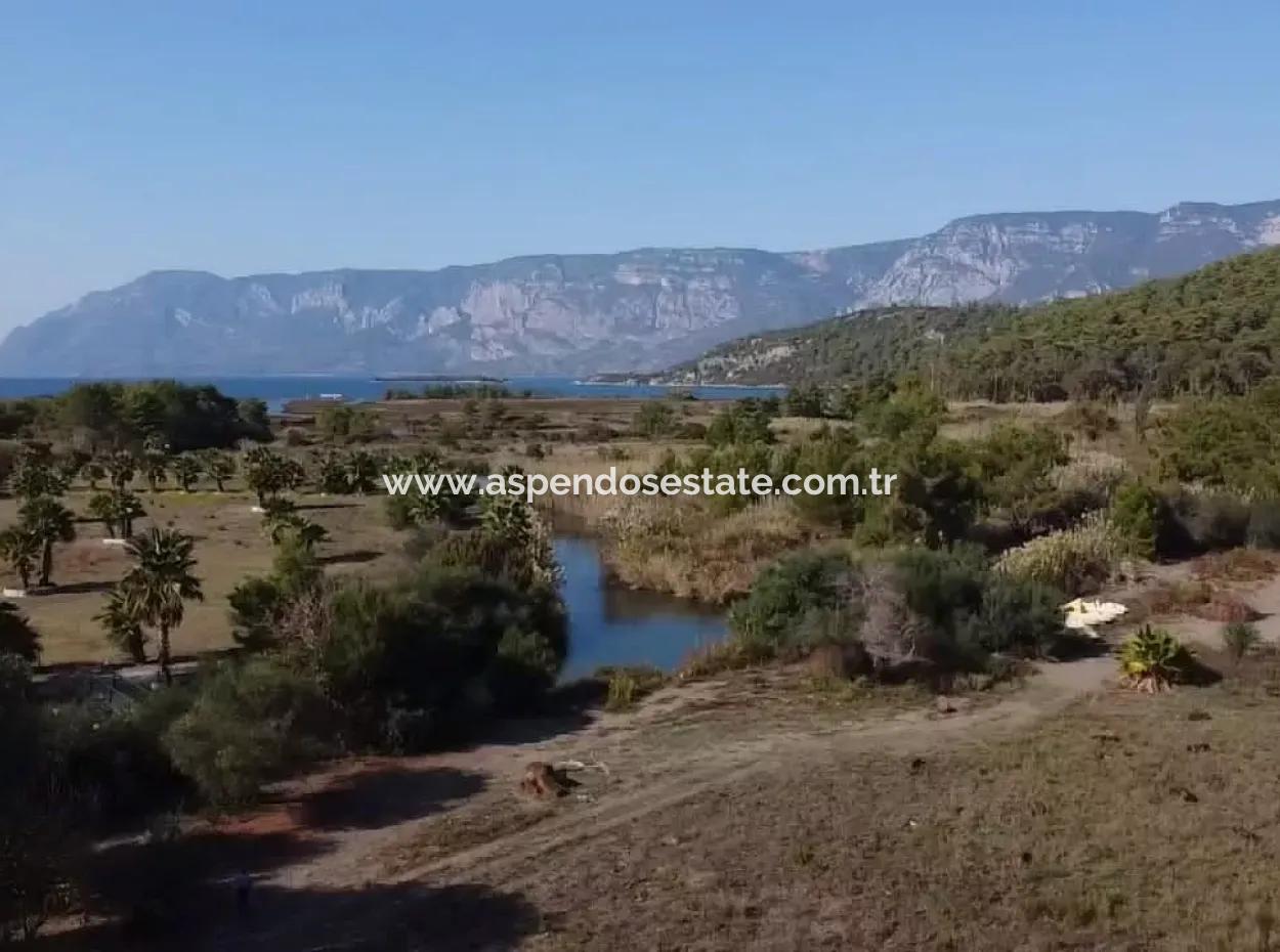 Çamlıda Satılık Arsa Arazi Marmaris Çamlıda Deniz Manzaralı 11720M2 Satılık Arsa