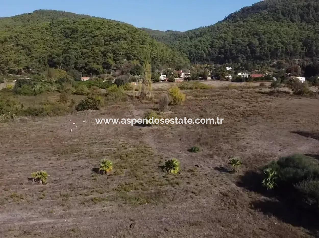 Çamlıda Satılık Arsa Arazi Marmaris Çamlıda Deniz Manzaralı 11720M2 Satılık Arsa