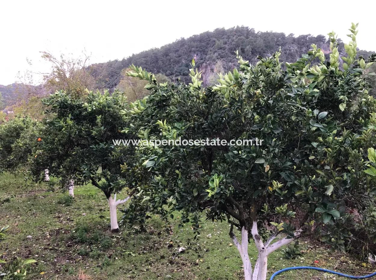 Okçular'da 1222M2 Arsa İçerisinde Satılık Tek Katlı Müstakil Ev