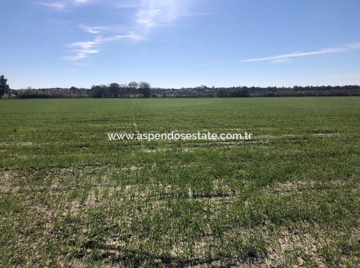 Sarıgermede Satılık Arsa Deniz Manzaralı 30,000M2 Satılık Arsa