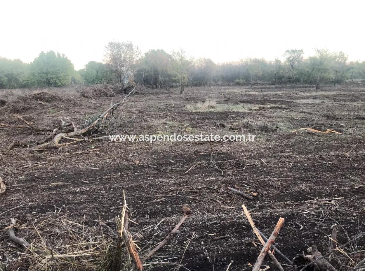 Sultaniye Satılık Arsa 10577M2 Göle Yakın Satılık Arsa