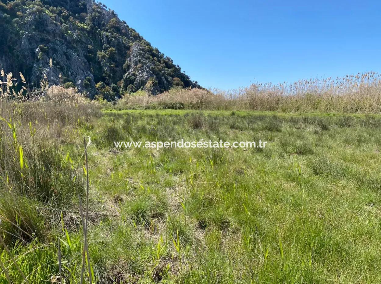 Dalyan'da 9310M2 Satılık Arsa