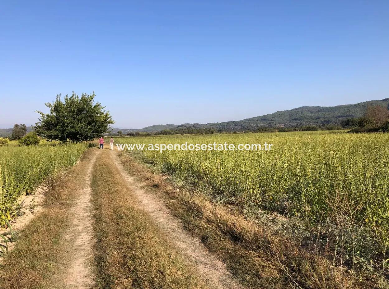 Akçapınarda Satılık Tarla 100 Dönüm Satılık Tarla