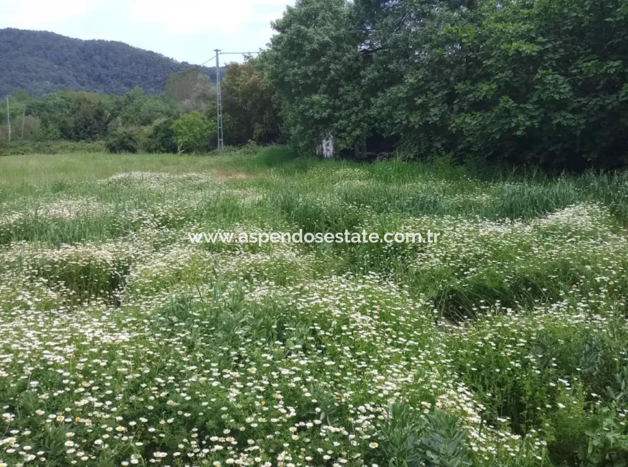 Çamlida  Satılık Arsa 11516M2 Satlık Bahçe