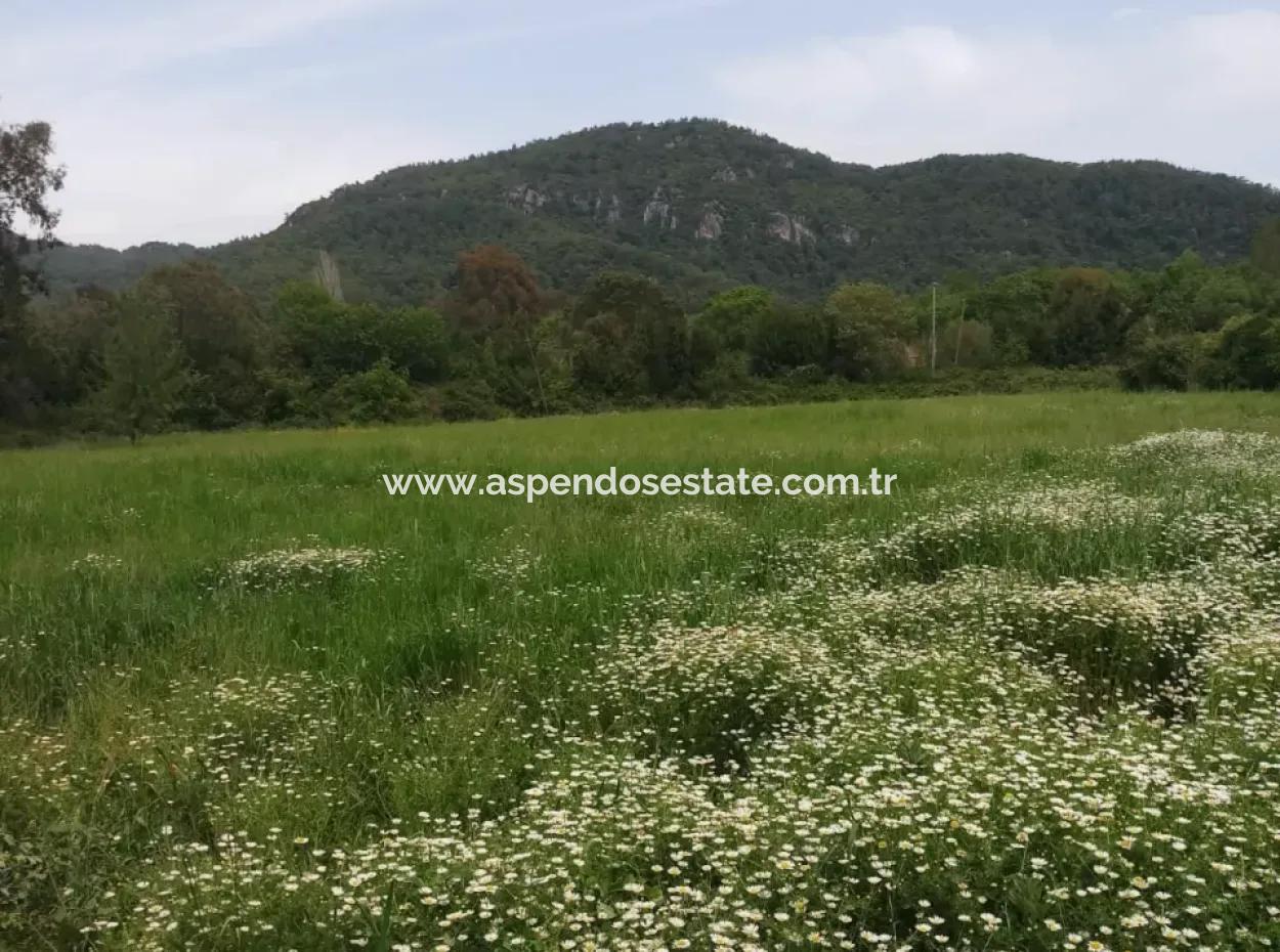 Çamlida  Satılık Arsa 11516M2 Satlık Bahçe