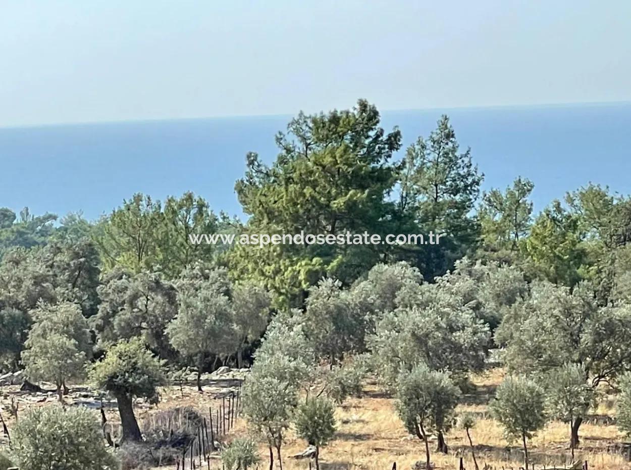 Çandır Deniz Manzaralı Satılık Tarla Arsa