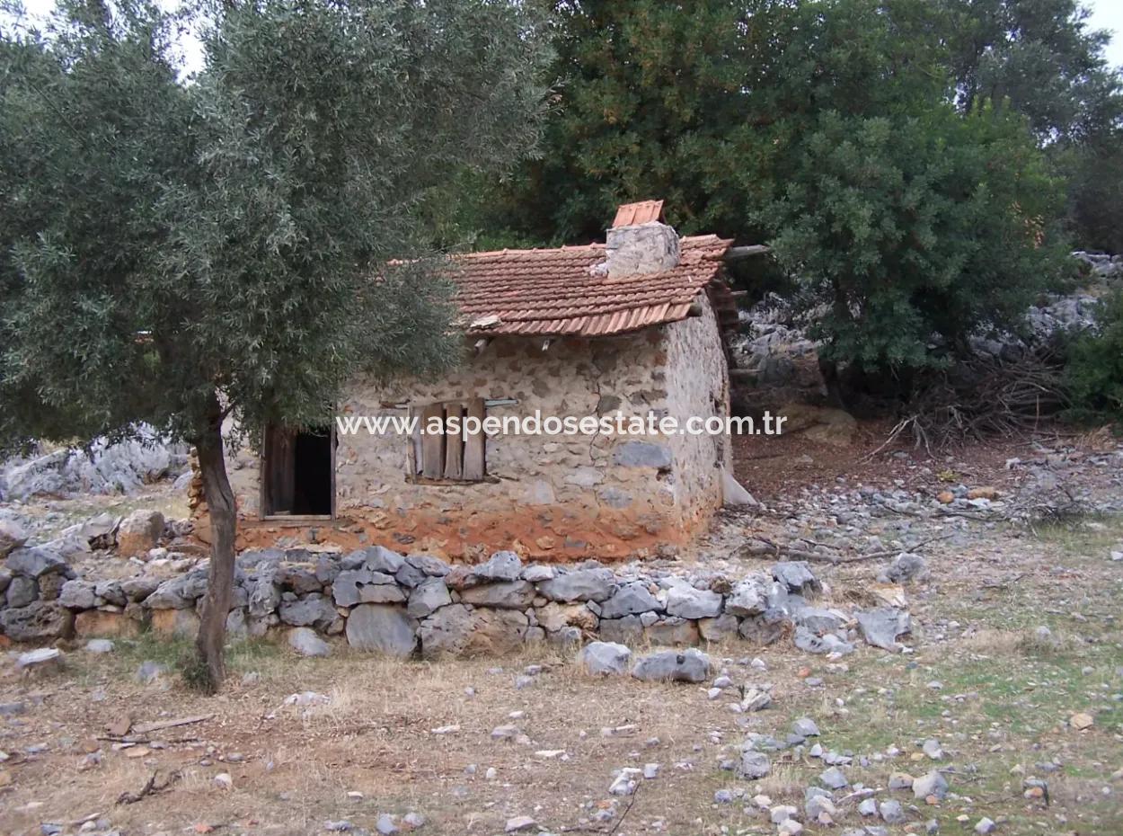 Sarsalada Deniz Manzaralı 4274M2 Arsa İçinde Satılık Taş Ev