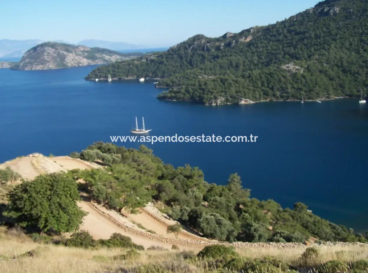 Sarsalada Deniz Manzaralı 4274M2 Arsa İçinde Satılık Taş Ev