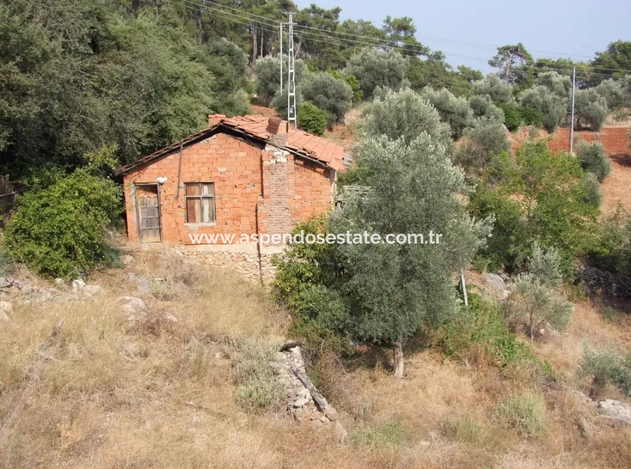 Akyaka Kandilli De Satılık Arsa 5000M2 Full Deniz Manzaralı Satılık Köy Evi Arsa