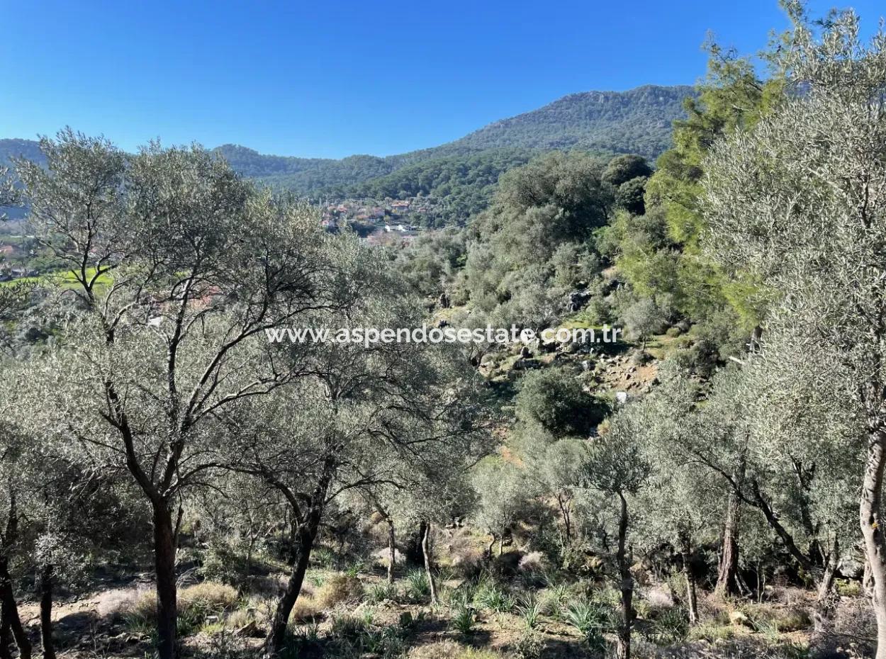 Çandır'da Deniz Ve Göl Manzaralı 950M2 Satılık 2B Tarlası