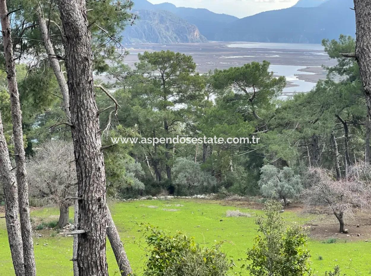 Çandır'da Deniz Göl Manzaralı Satılık 10,707M2 2B Tarlası