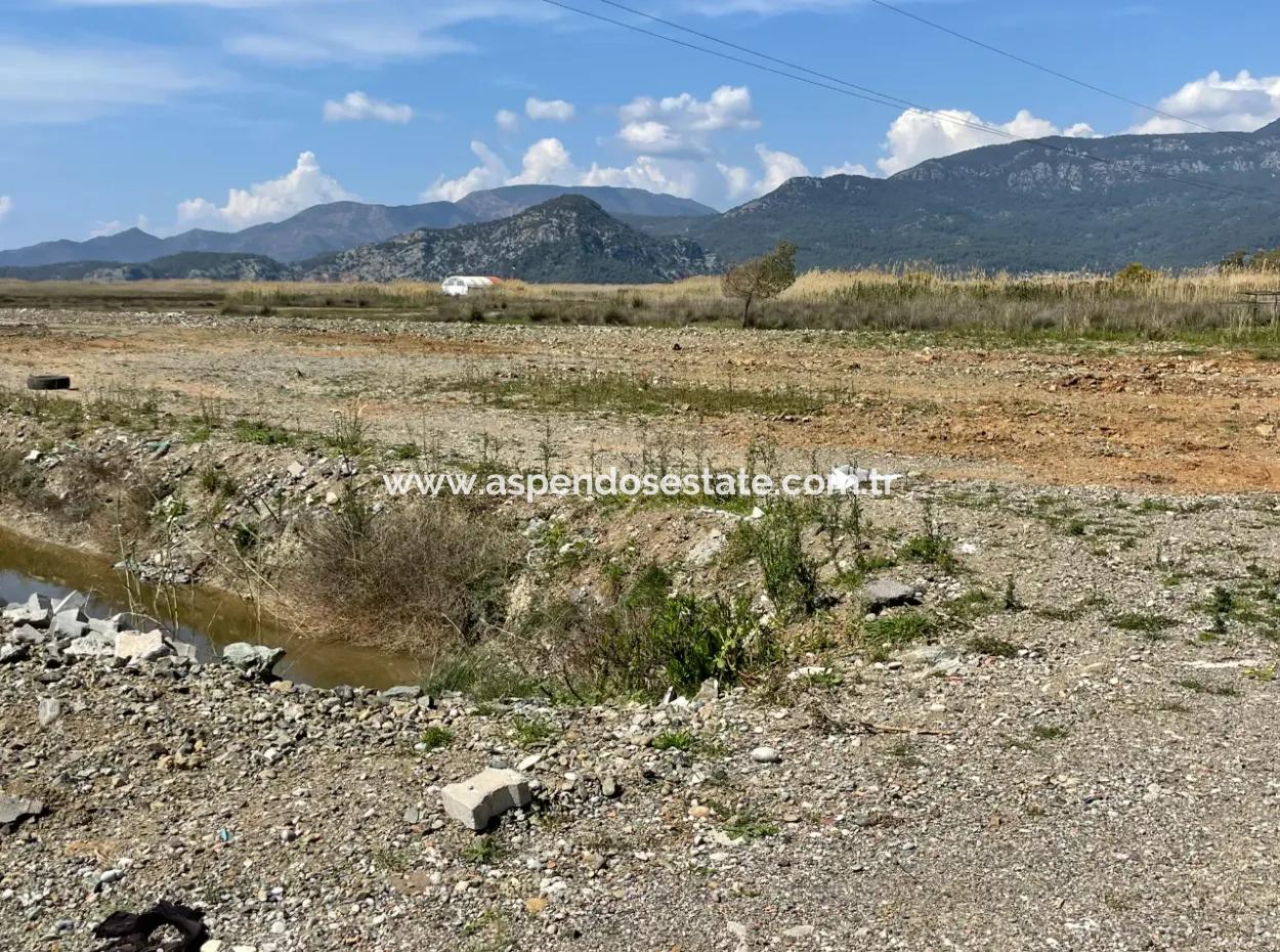 Dalyan İztuzu Plaj Yoluna Sıfır 19,600M2 Satılık Tarla Arazi