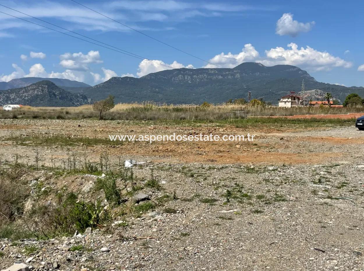Dalyan İztuzu Plaj Yoluna Sıfır 19,600M2 Satılık Tarla Arazi