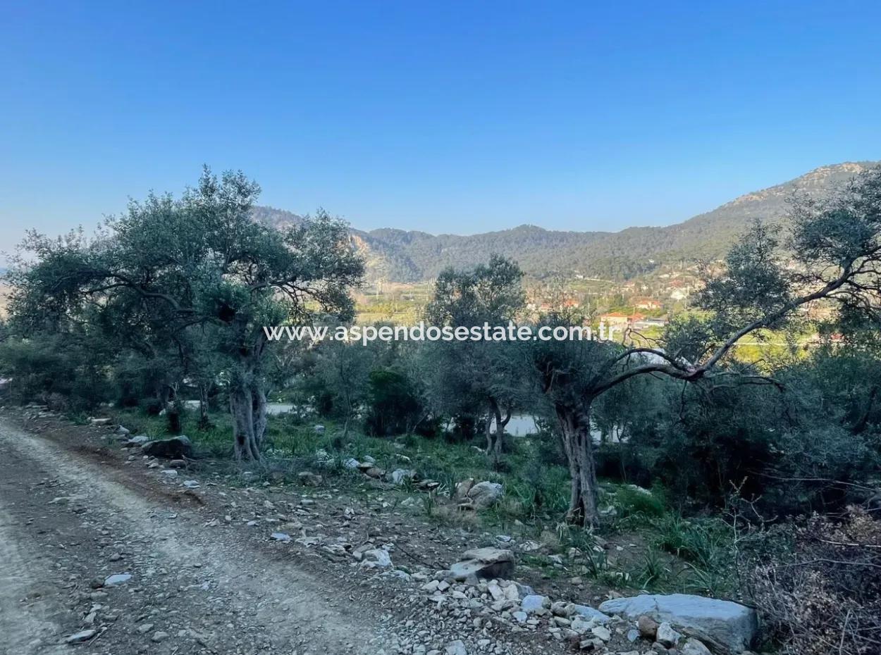 Çandır Göl Deniz Manzaralı 2,806M2 2B Satılık Tarla