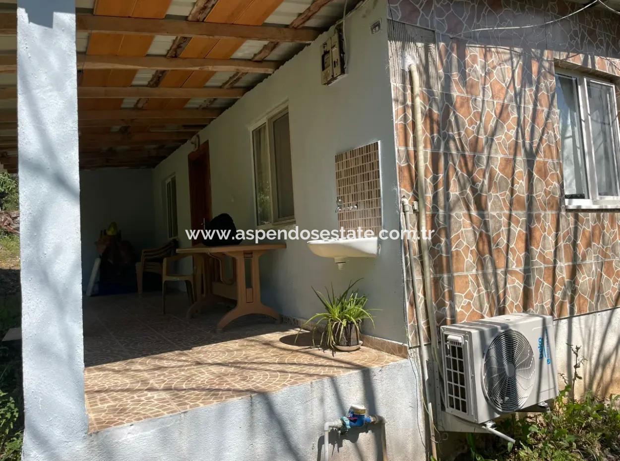 Zeytinalanın'da 5650M2 Tarla İçinde Satılık Köy Evi