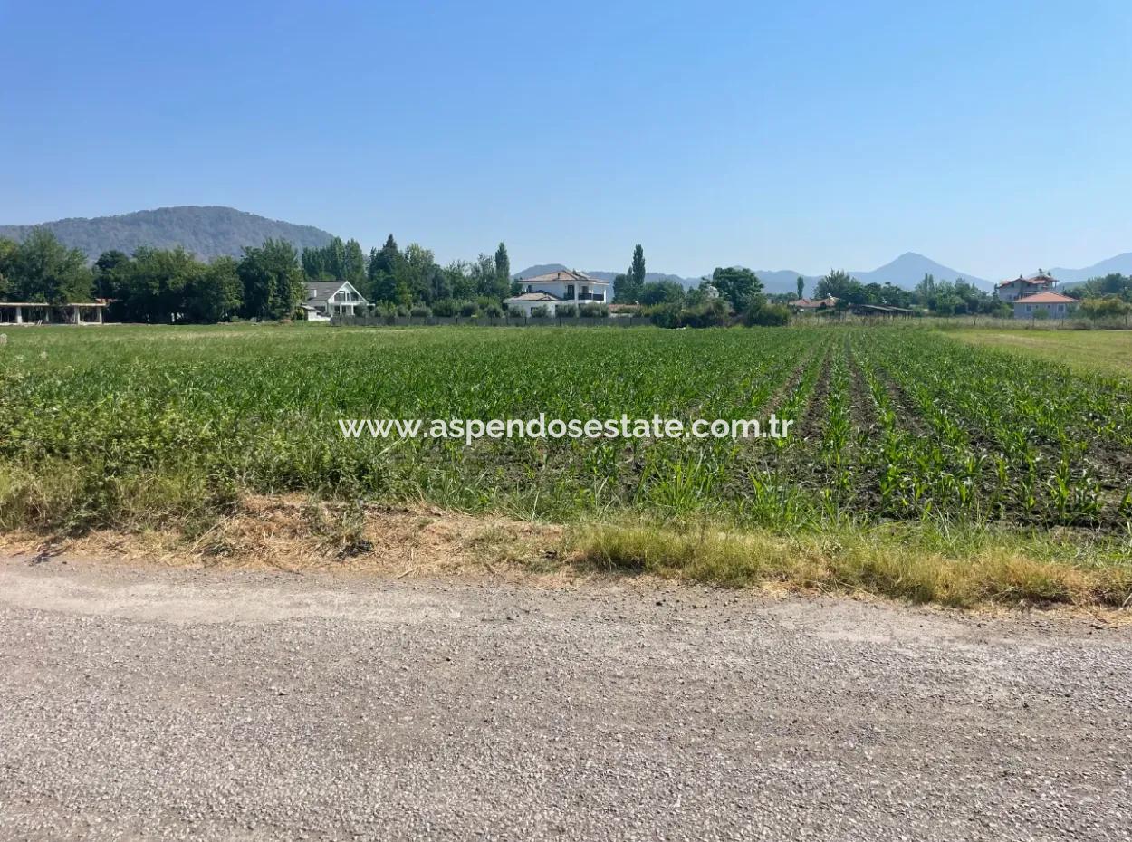 Okçular'da Köy Yerleşik Alanda 2715M2 Satılık Arsa