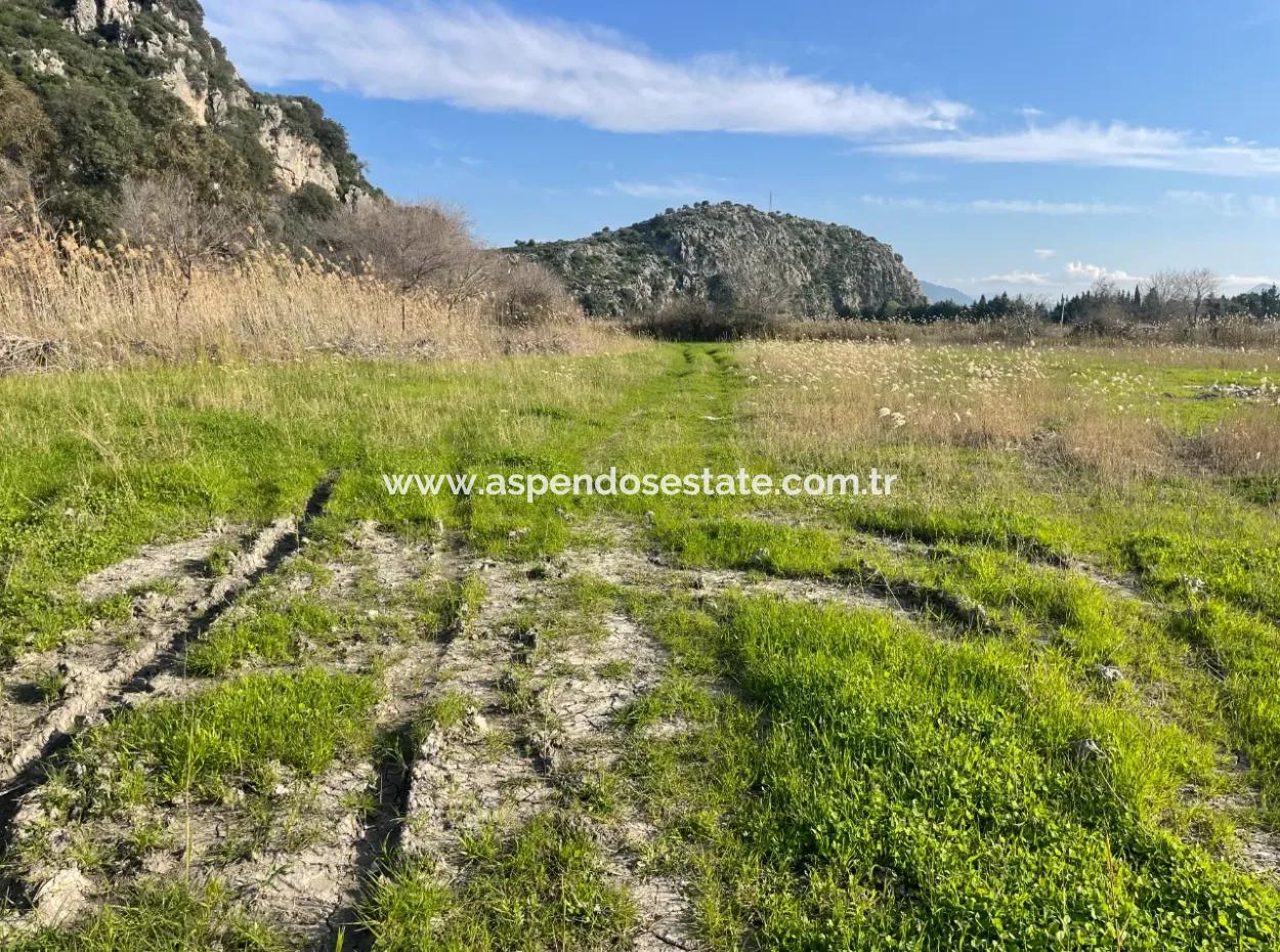 Dalyan'da 6800 M2 %5 Konut İmarlı Satılık Arsa