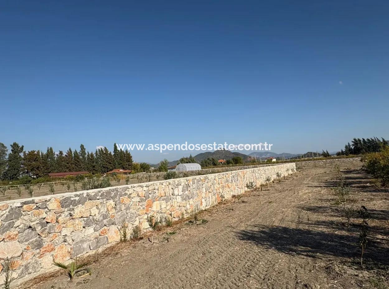 Eskiköy'de 19.663M2 Çiftlik Arazisi Ve Ev Satılıktır